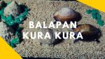 Membuat Kerajinan dari Kulit Kerang Sederhana Murah dan Mudah